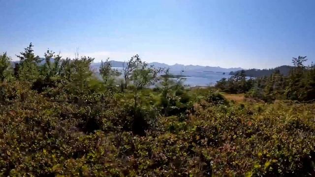 The Mysterious Underwater Creatures Of Haida Gwaii  S6-E129