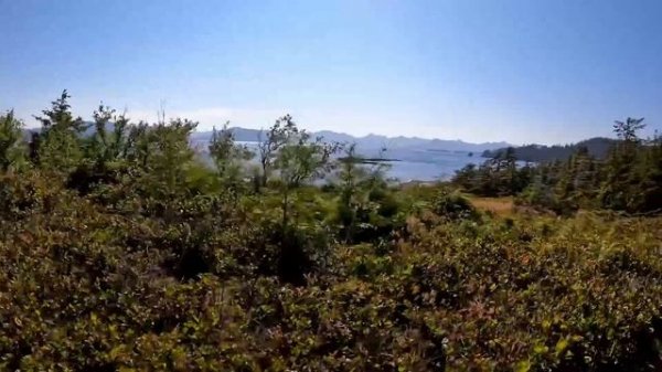 The mysterious underwater creatures of Haida Gwaii  S6-E129