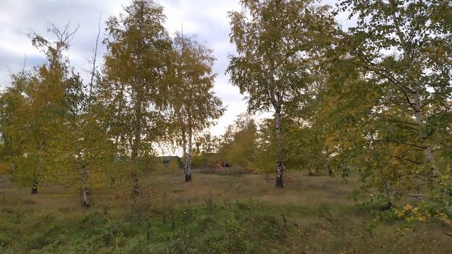 3 ноября/ДЕНЬ ИЛЛАРИОНА/Заговор от БЕССОННИЦЫ/Народные ПРИМЕТЫ смотреть онлайн