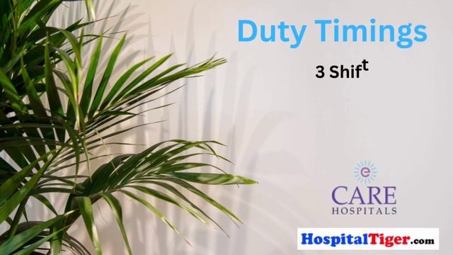 Daily Hospital Jobs In Hindi || Application form link in description смотреть онлайн