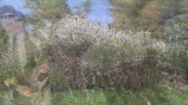 САД - Там, де весна... (микс) смотреть онлайн