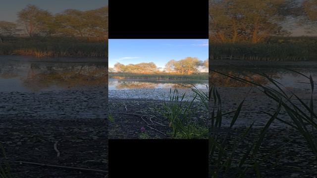 открытие сезона охоты 2024