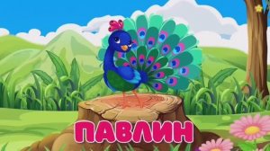 Домашние животные для детей, корова, лошадь, курица, осёл, кошка, собака, коза, петух, гусь, свинья.