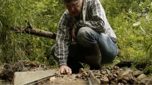 В Подмосковье нашли золото алмазы