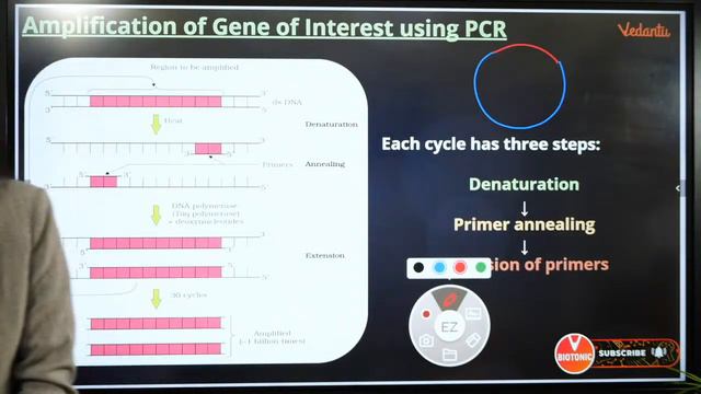 Biotechnology Class 12 NEET Biology Marathon -5 For NEET 2020 | Vedantu смотреть онлайн