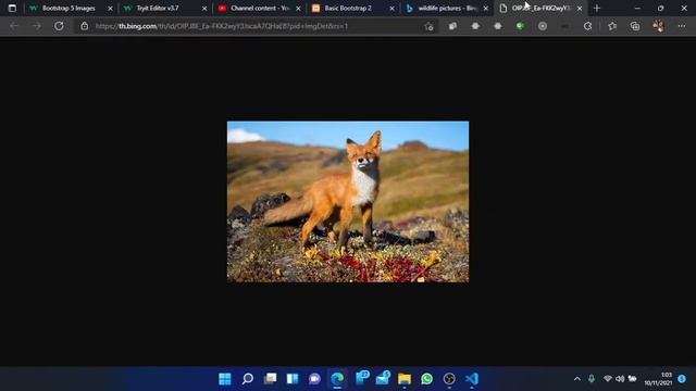 Tutorial Bootstrap 5 Untuk Anak SMK - Bagian 3 - Bootstrap Table, Image, Alert смотреть онлайн