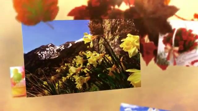 поздравление с днем рождения двоюродной смотреть онлайн