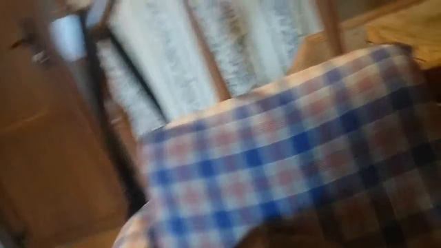 Такса щенки роды(4) смотреть онлайн