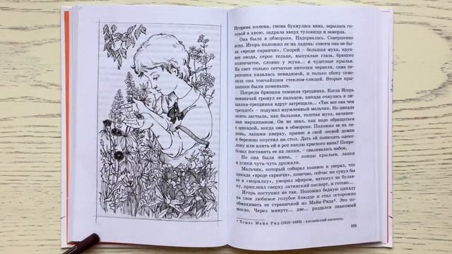 Детские книги. «Чудесное лето». Саша Черный. смотреть онлайн