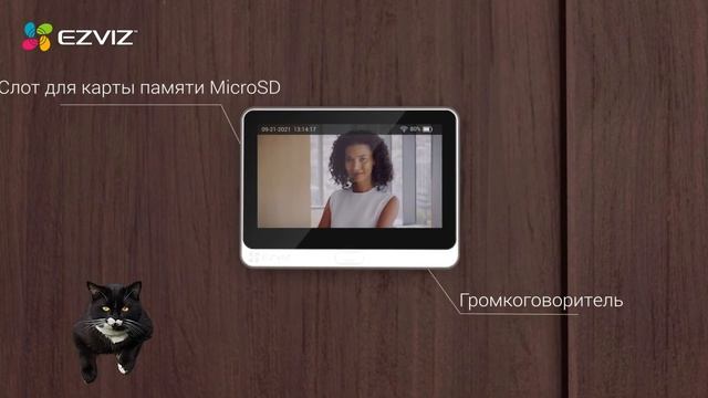 Обзор | Кот изучает умный глазок Ezviz DP2C | Kotoshoper смотреть онлайн