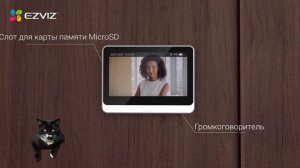 Обзор | Кот изучает умный глазок Ezviz DP2C | Kotoshoper