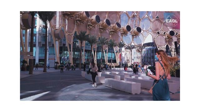 all about Dubai - the city of wonders смотреть онлайн