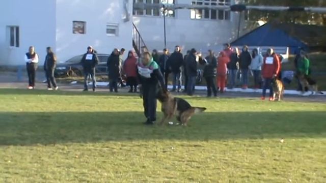 Главная выставка ВКВНО КСУ 2016 - ДЕ ОРСЕ МАК ФЛАЙ ВЕНЕЦИЯ смотреть онлайн