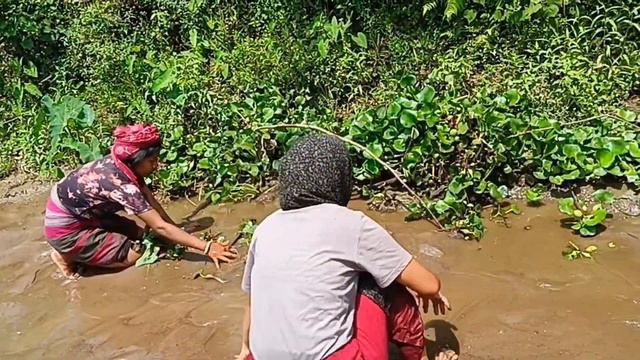 Gorma tui o AA romlainani || catching fish 🐠🐟@ushadebbarmavlogs6942 смотреть онлайн