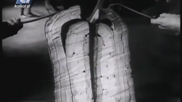 Kauçuk Tarihçesi - Belgesel - Türkçe