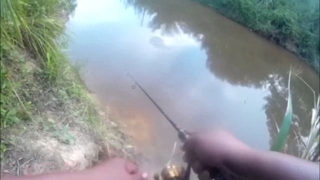 Strike Ikan Lampam Guna Popper Duo PocoPoco | UltraLight Fishing смотреть онлайн