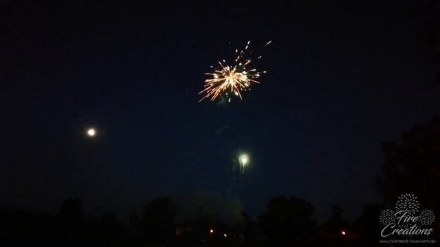 Überraschungs-Feuerwerk zu einer Hochzeit in Haldensleben смотреть онлайн