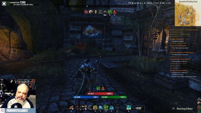 ESO Guia Classe Warden   Guardião Da Natureza, Mestre Do Gelo