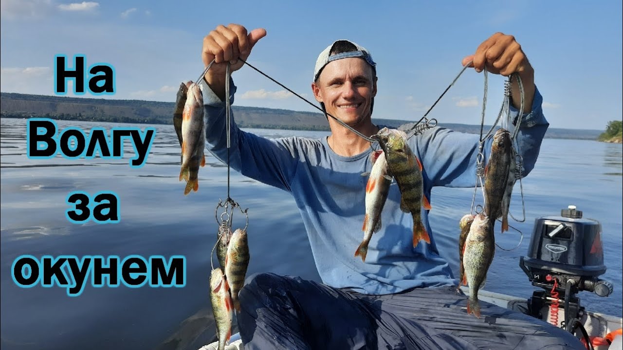 ЛОВЛЯ ОКУНЯ НА ВОЛГЕ / ПОПАЛ НА ОКУНЁВЫЙ "КОТЁЛ" /РЫБАЛКА НА СПИННИНГ/ ЛЕТНЯЯ РЫБАЛКА/ ТОЛЬЯТТИ смотреть онлайн