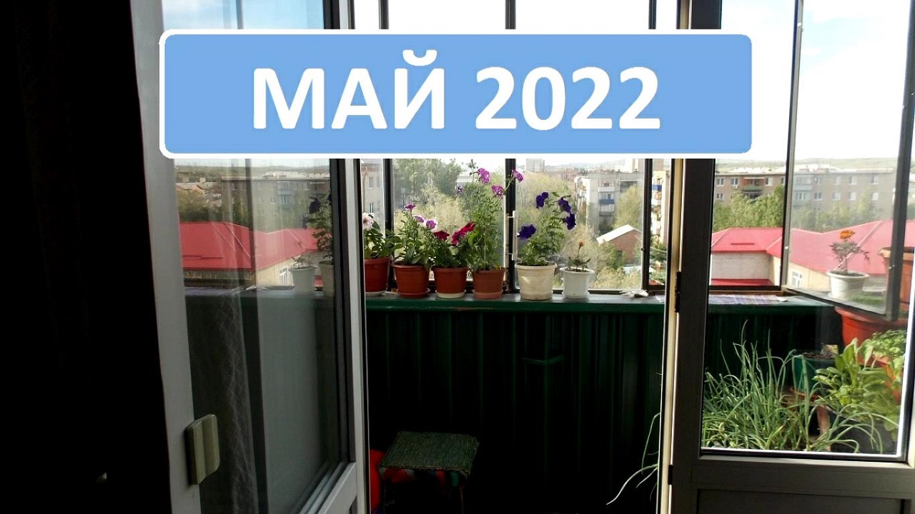 Май 2022.mp4 смотреть онлайн