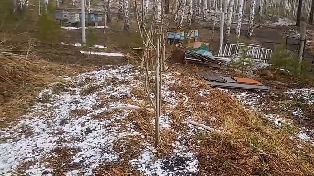 Соломенное земледелие. 09 часть Ранняя весна. Иван Бояринцев. Завоз соломы. смотреть онлайн