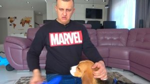 Мама Против Папы в РЕАЛЬНОЙ ЖИЗНИ.  Кто ЛУЧШЕ? Брос  Шоу Пет
