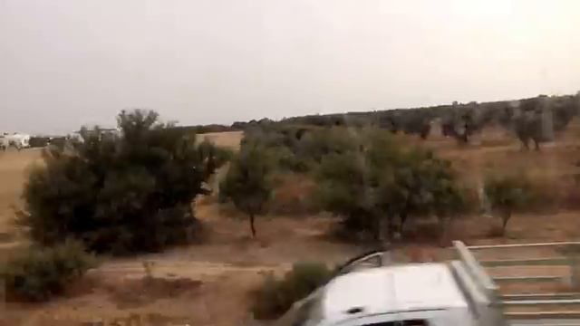 Гид о Тунисе (Сусс 24.07.2017)