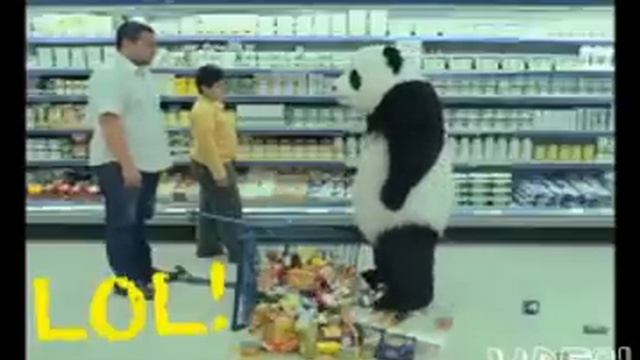 Episodio 39 de What da faq - Oso panda en el super mercado? смотреть онлайн