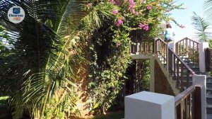 Sandunes Beach Resort 👍 – отель 4* (Вьетнам, Фантьет). Обзор 2018