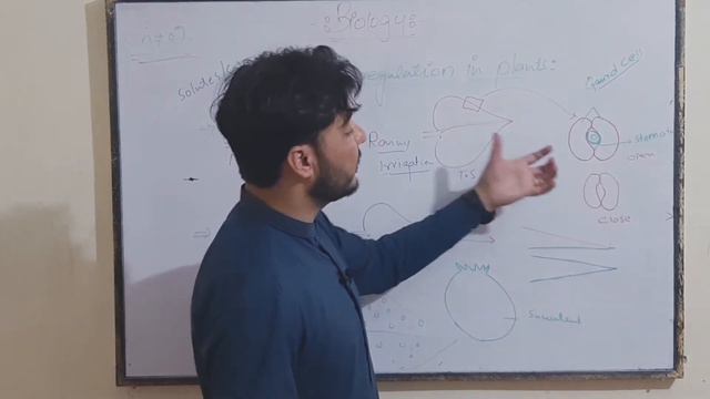 osmoregulation in plants ||Chp : 2 || 10th Biology | Botanist Gul смотреть онлайн