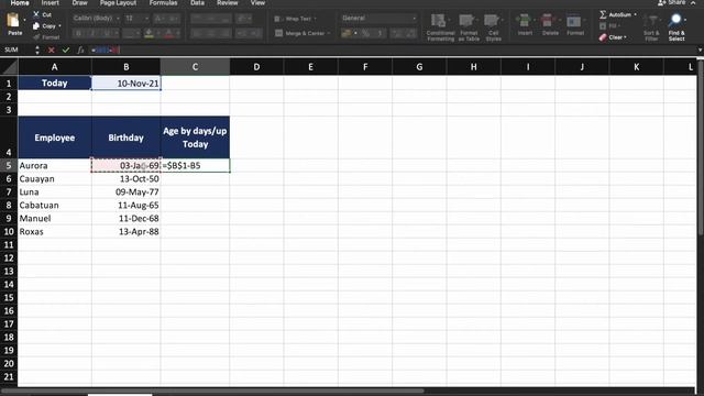 Excel Formula Tips & Tricks #2 | Calculate The Age Of A Person In Days