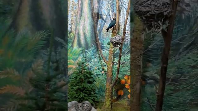 Краеведческий музей в Комсомольске на Амуре. Любимое место Ульяны)) смотреть онлайн