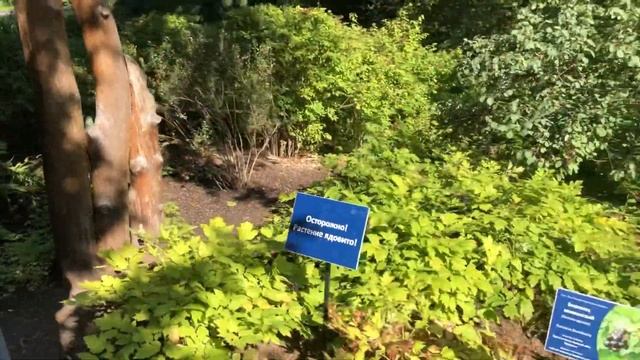 ВЛОГ?: ТОМСК! НАШИ ВЫХОДНЫЕ! СПАЛИ В МАШИНЕ? ? смотреть онлайн