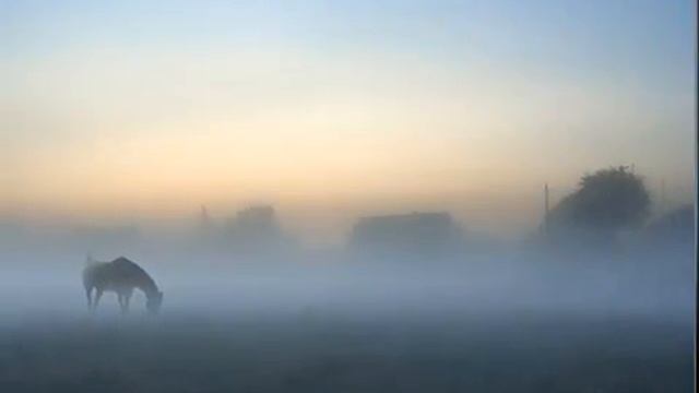 ВИДЕОКЛИП "СПИТ КОВЫЛЬ" НА СТИХИ СЕРГЕЯ ЕСЕНИНА (МУЗЫКА ЮРИЯ ЗАЦАРНОГО ) смотреть онлайн