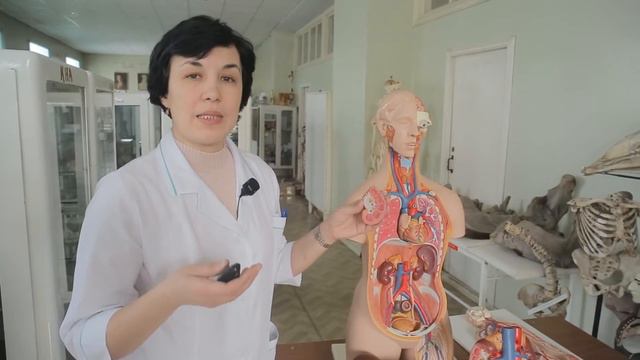 За здоровым поколением будущее. Фильм I:Бережем свои почки смотреть онлайн