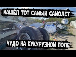 Что стало с самолетом севшим на кукурузное поле?