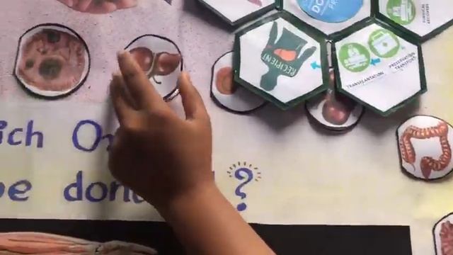 Poster presentation on Organ donation смотреть онлайн