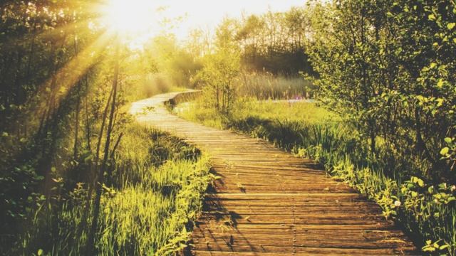 Больше и дальше - это мантра Вселенной. Абрахам-Хикс. смотреть онлайн