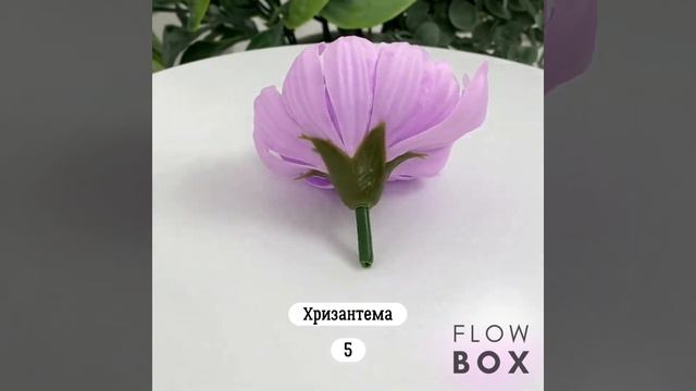 FLOW BOX - Хризантема №5