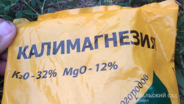 Малина не растет без этого! Даю это малине осенью! На след. год будет много крупной ягоды! смотреть онлайн