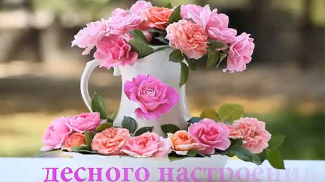 Желаю сказочного чудо-настроенья,
Улыбок искренних, медового везенья !