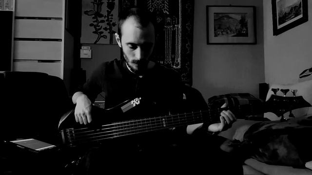 Nelly - Just a Dream (Furious Fred Bass Cover) смотреть онлайн