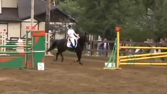 Конкур 17.07 смотреть онлайн