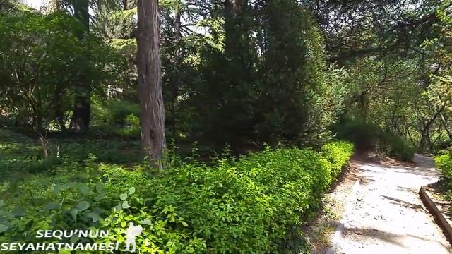 Tiflis Botanik Bahçesi | Tiflis Gezilecek Yerler смотреть онлайн