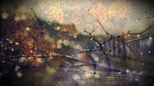 Дождик в сентябре. Музыкальная видео открытка. смотреть онлайн