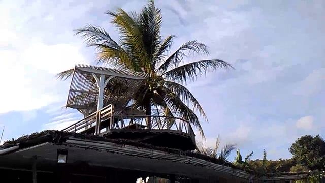 ПРОГУЛКА ПО БЕРЕГУ, НЕОБЫЧНАЯ КАФЕШКА С ТЕРРАСОЙ НАВЕРХУ И ПАЛЬМОЙ С КОКОСАМИ) смотреть онлайн