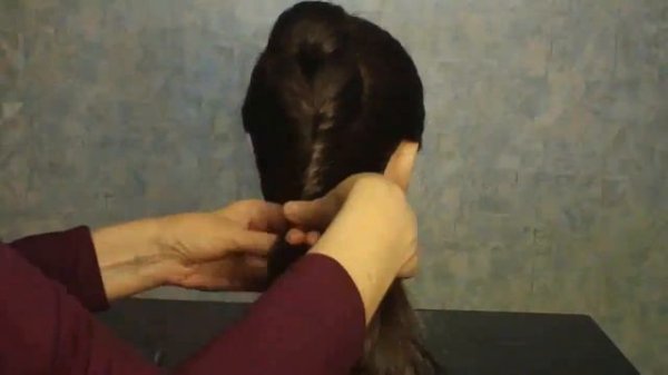 Прическа для длинных волос. French fishtail braid hairstyles for long hair