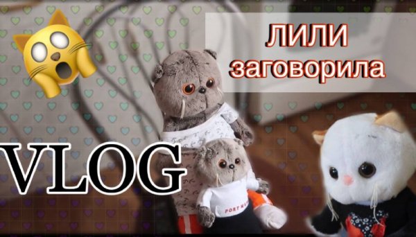 Длинный влог с Басиками | Как сделать корм для Басиков