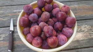 Слива диплоидная Ред Харт (plum Red Heart). Обзор и дегустация