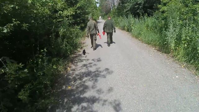 #Боевые собакен смотреть онлайн